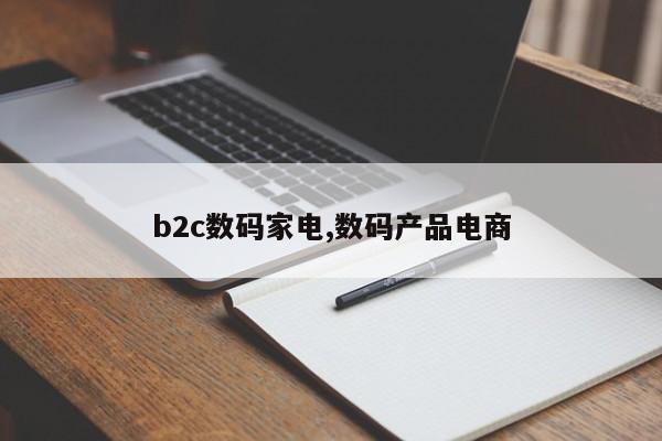 b2c数码家电,数码产品电商